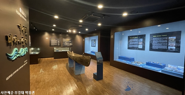 가야인 바다에 살다 특별전 (2)